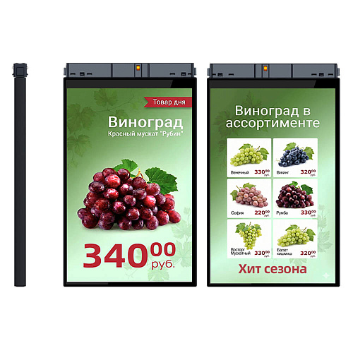 TFT-дисплей MERTECH HL101 Dual 10,1″                                        