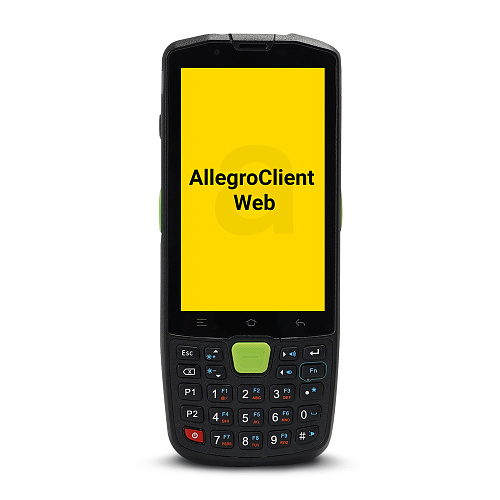 Программа AllegroClient-Web                                        